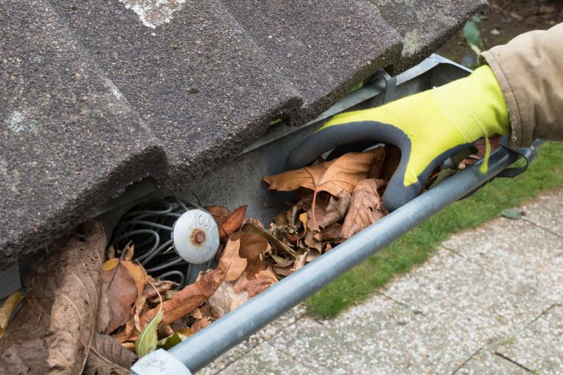 Gutter Cleaning in Gaffney
