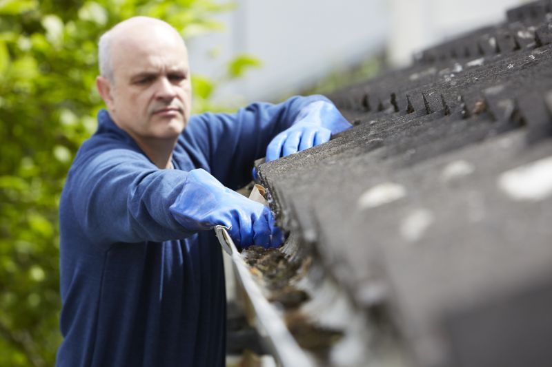 Gutter Maintenance in Spring